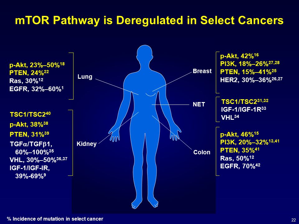 mTOR Pathway is Deregulated in Select Cancers