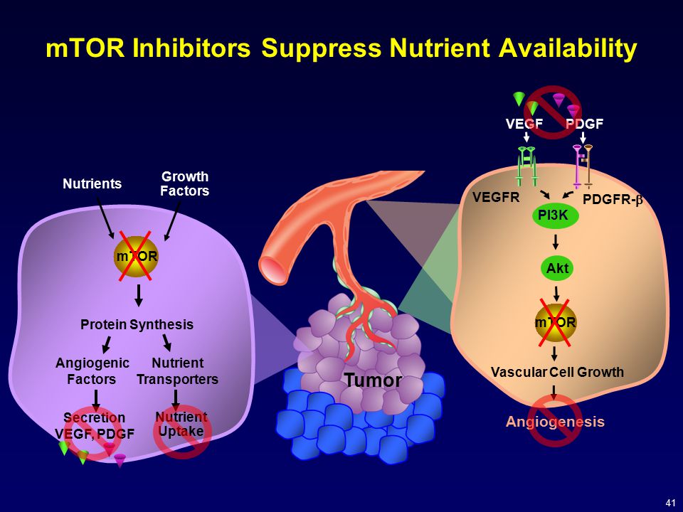 mTOR Inhibitors Suppress Nutrient Availability