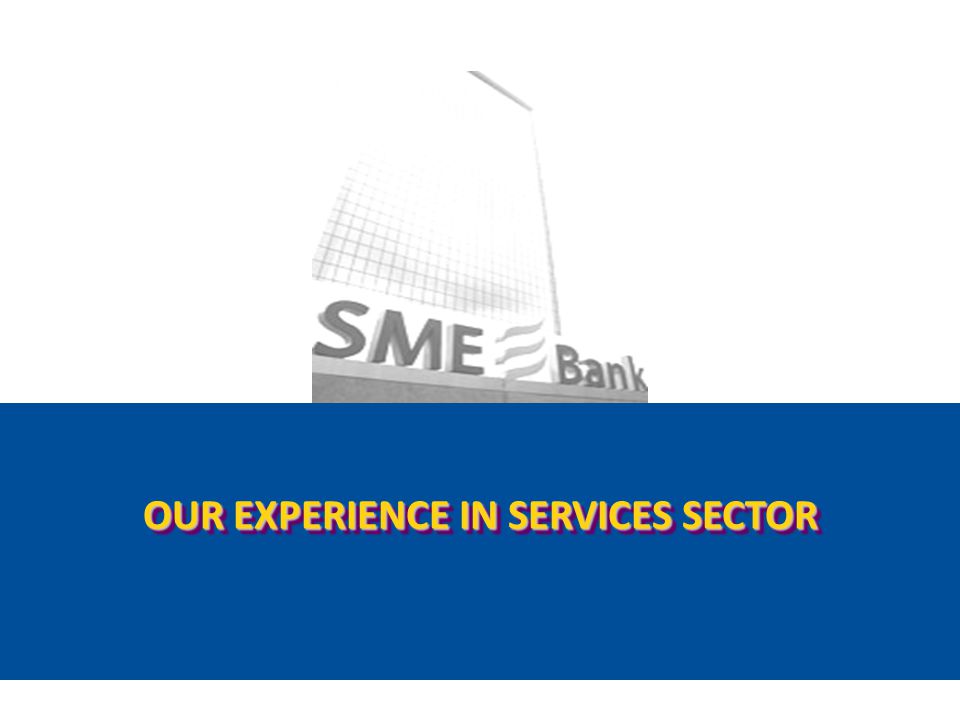 OUR EXPERIENCE IN SERVICES SECTOR