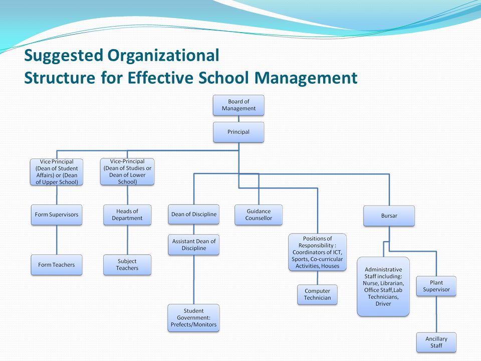 School Management Structure Chart