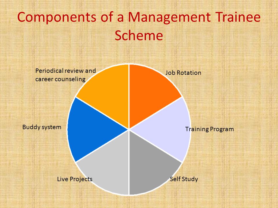 Components of a Management Trainee Scheme