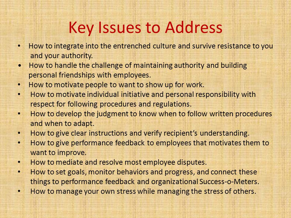 Key Issues to Address How to integrate into the entrenched culture and survive resistance to you. and your authority.