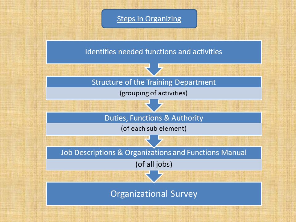Organizational Survey