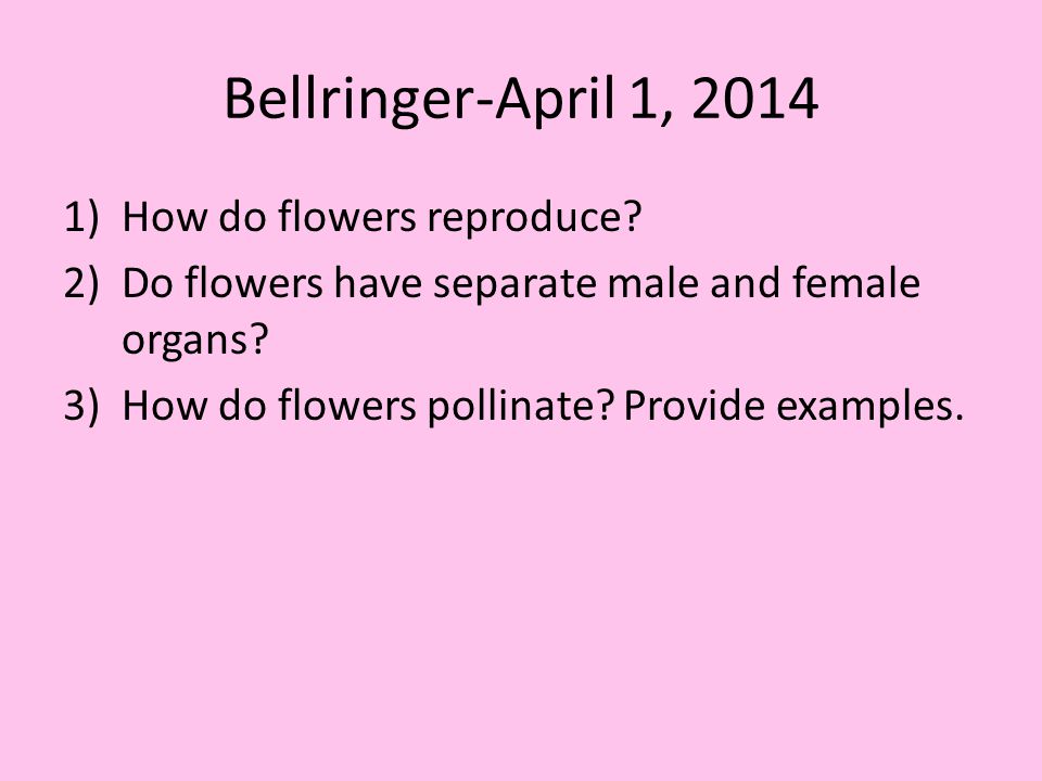 Bellringer-April 1, 2014 How do flowers reproduce