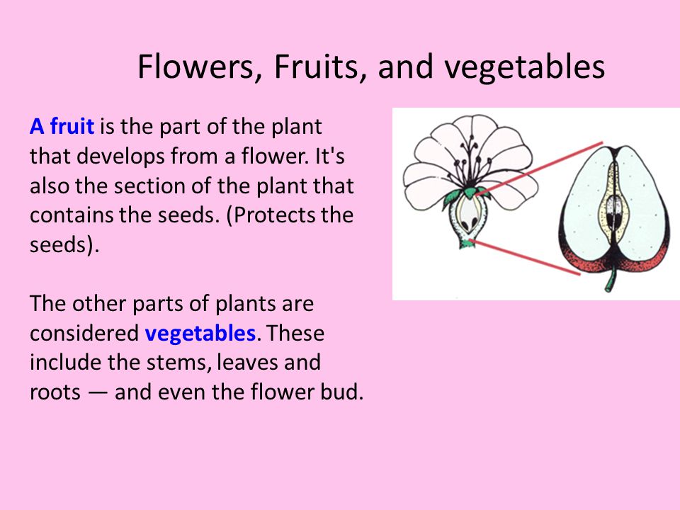 Flowers, Fruits, and vegetables