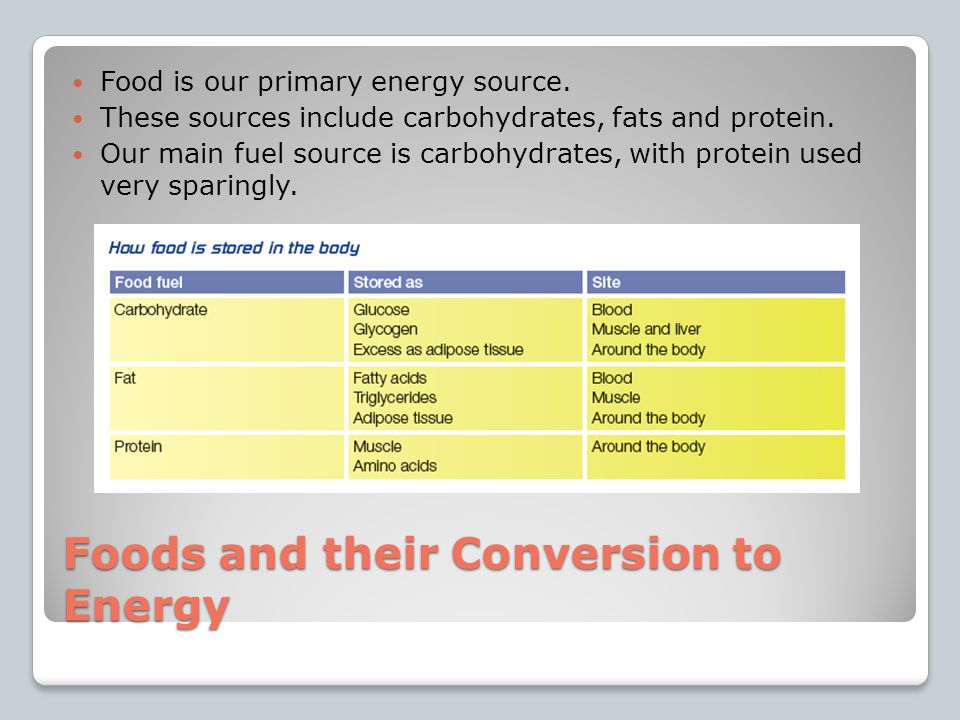 Foods and their Conversion to Energy
