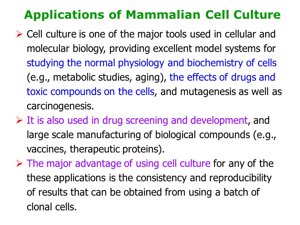 Animal Cell Tissue And Organ Culture Ppt Download