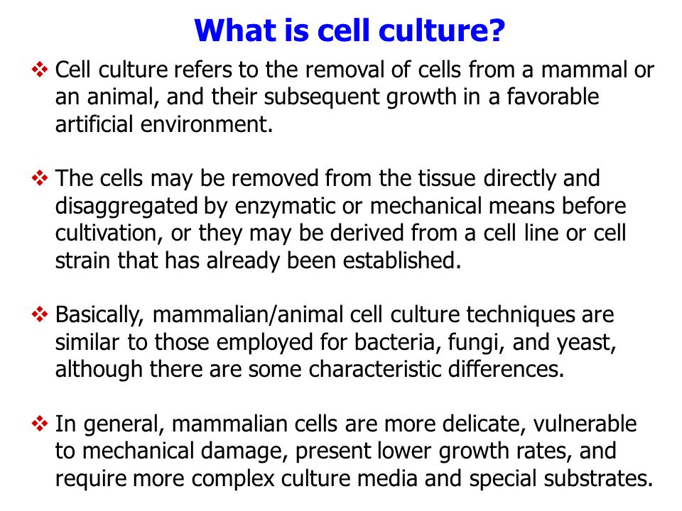 Animal Cell, Tissue and Organ Culture - ppt download