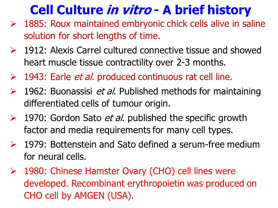 Animal Cell, Tissue and Organ Culture - ppt download
