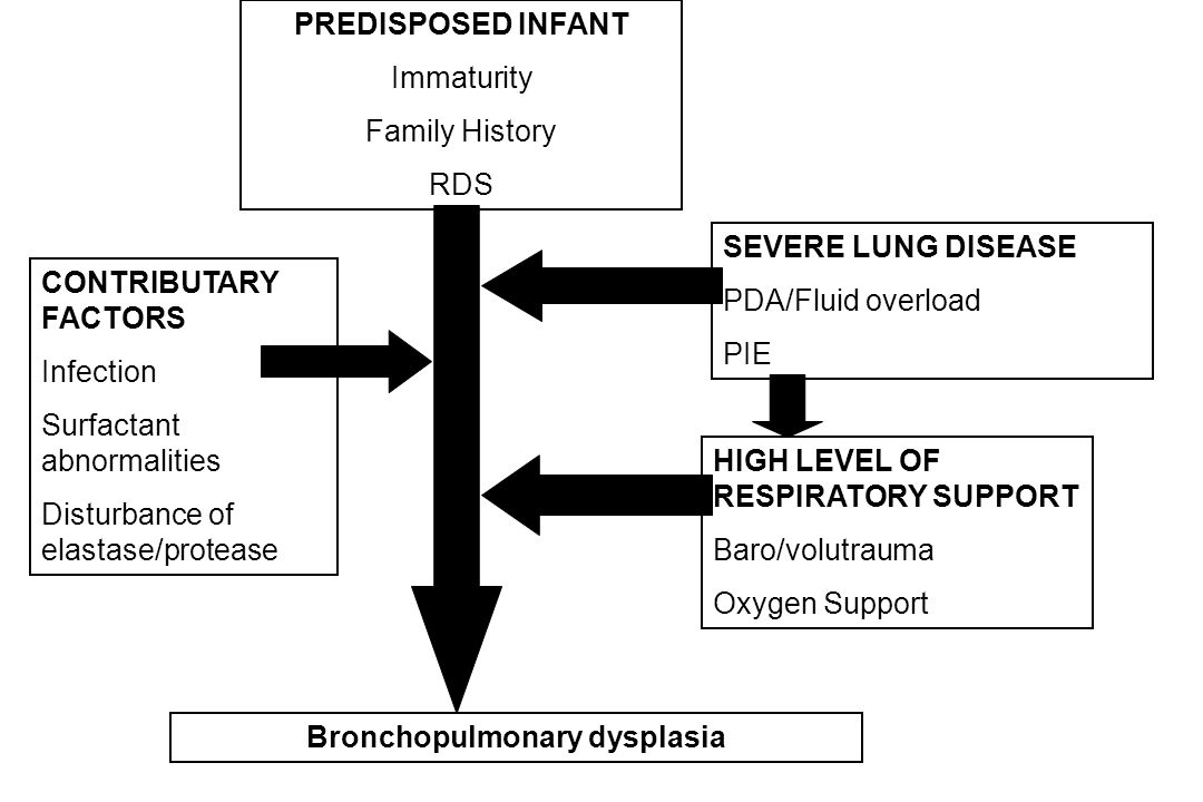Bronchopulmonary dysplasia