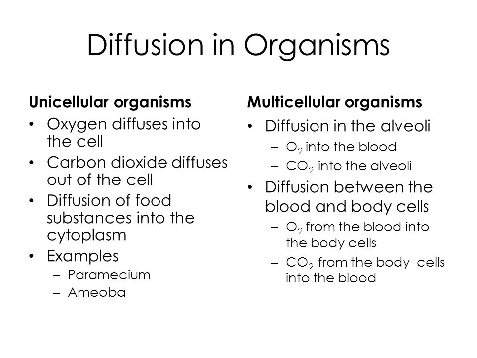 Diffusion and Osmosis in plant and animal cells - ppt video online download