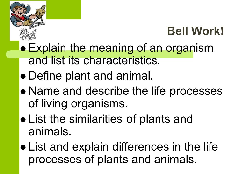 Identifying Differences Between Plants and Animals - ppt video online  download