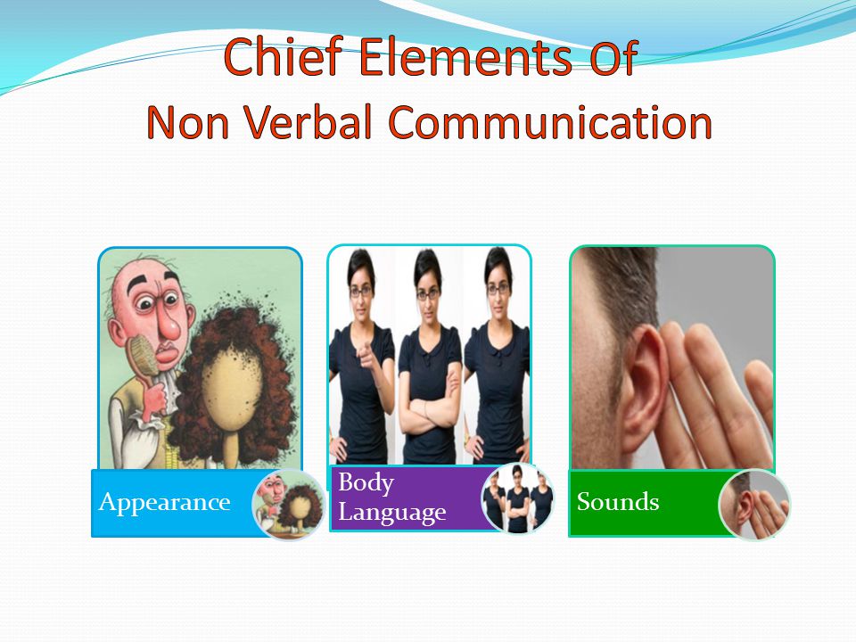 Chief Elements Of Non Verbal Communication
