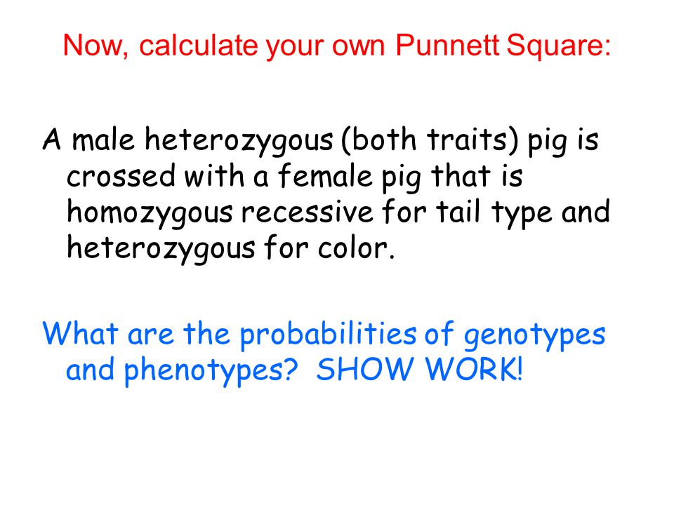 Now, calculate your own Punnett Square: