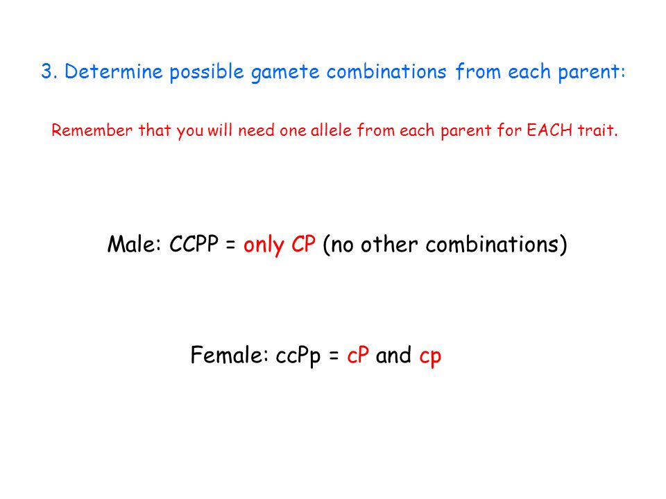 Male: CCPP = only CP (no other combinations)