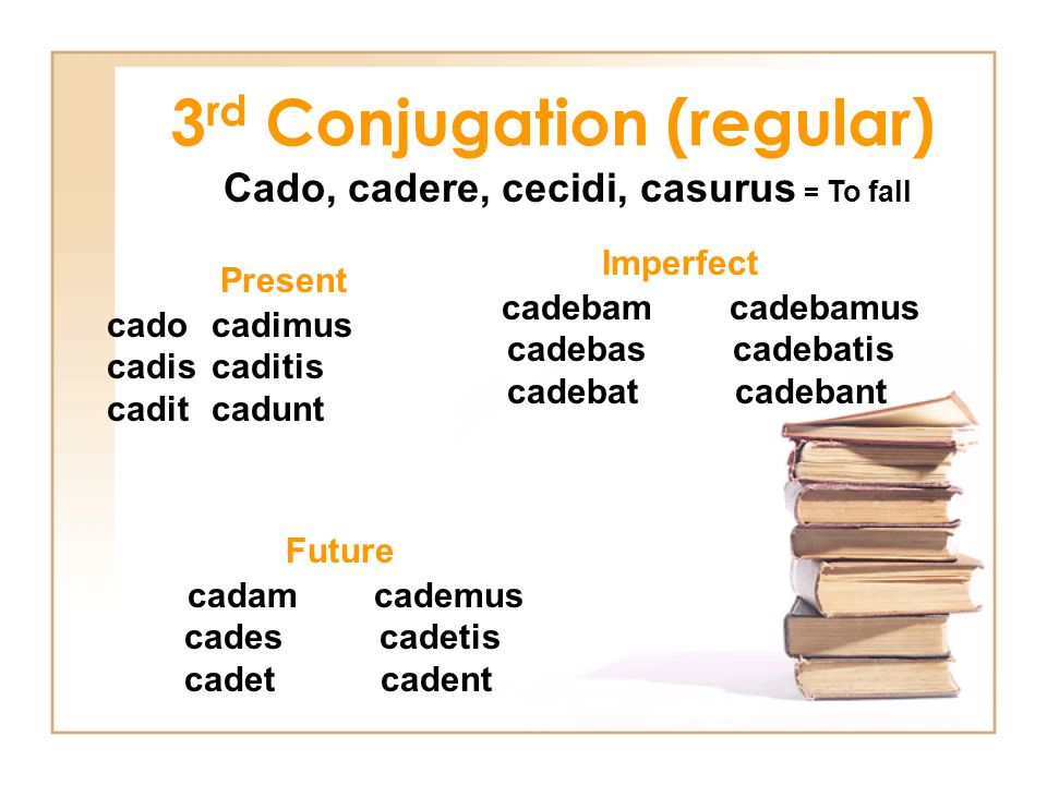 3rd Conjugation (regular) .