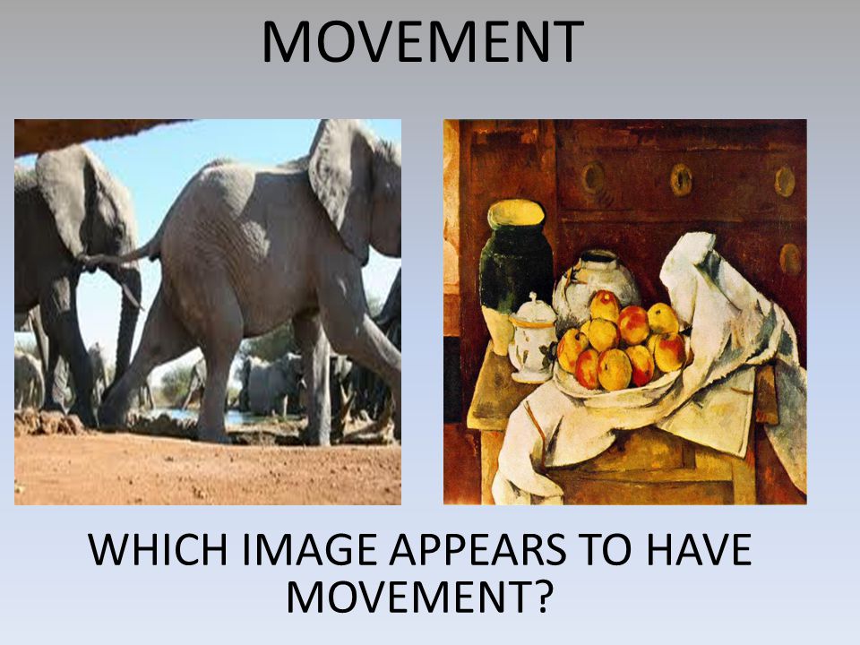 WHICH IMAGE APPEARS TO HAVE MOVEMENT