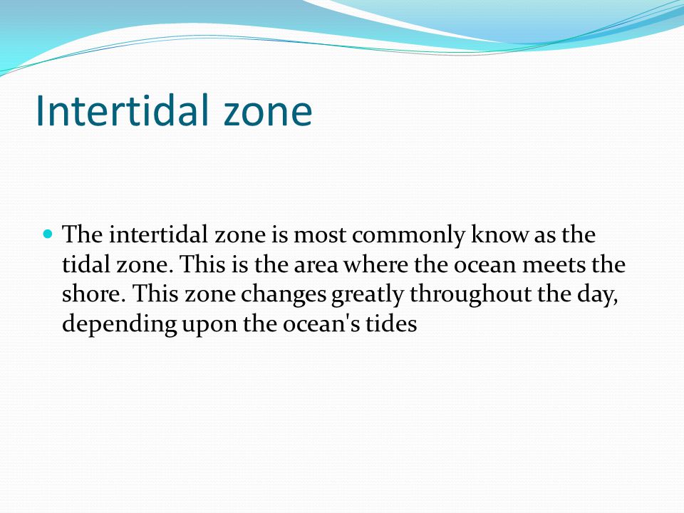 Intertidal zone