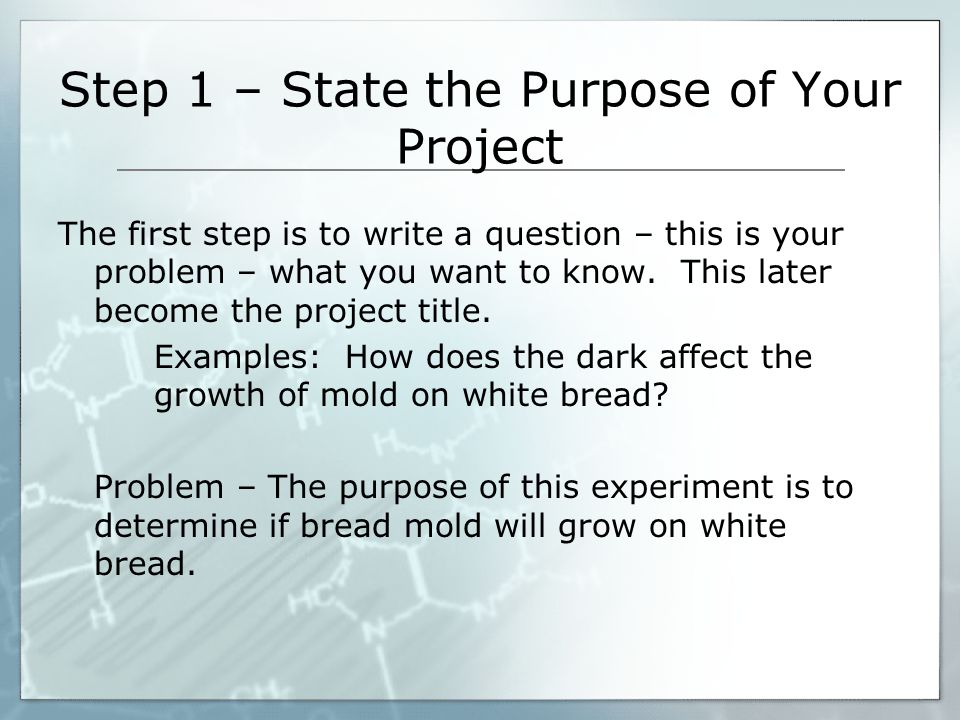 Step 1 – State the Purpose of Your Project