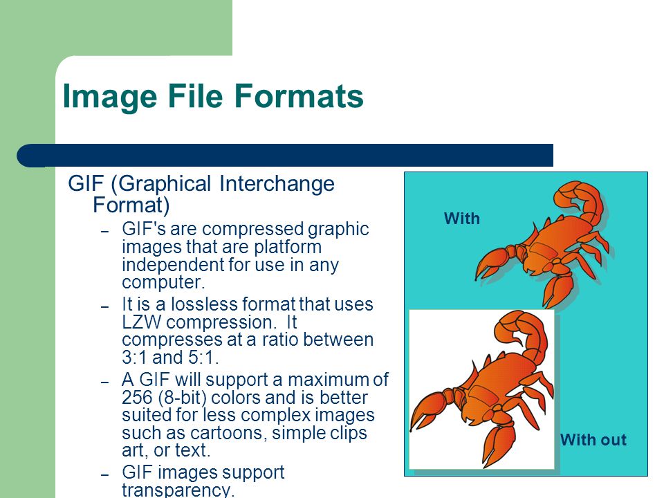 Image File Formats GIF (Graphical Interchange Format)