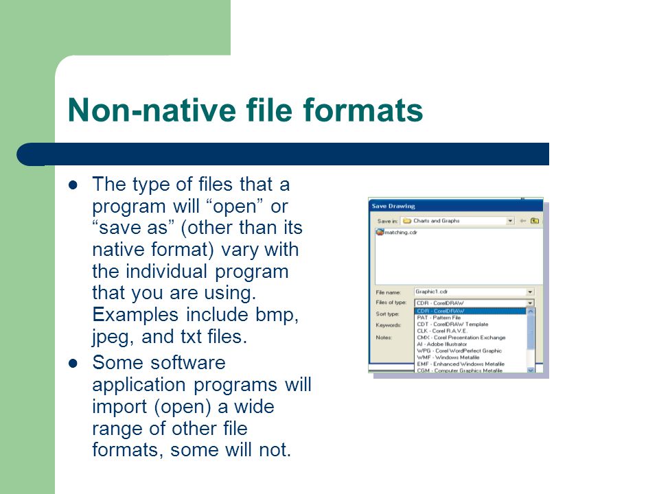 Non-native file formats