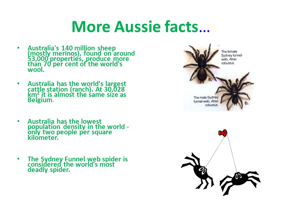 More Aussie facts…