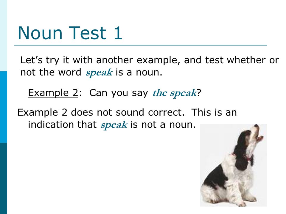 Noun Test 1 Let’s try it with another example, and test whether or not the word speak is a noun. Example 2: Can you say the speak