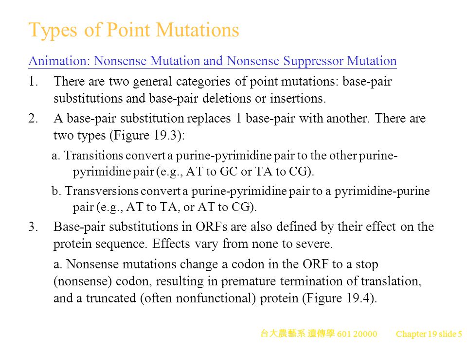 Chapter 19 Dna Mutation And Repair Ppt Download