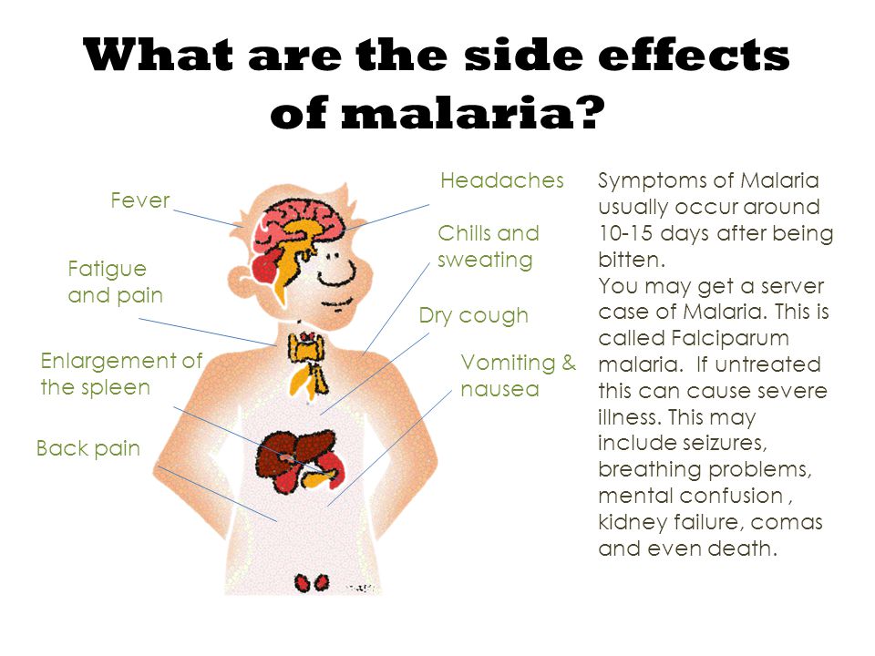 Malaria. - ppt video online download