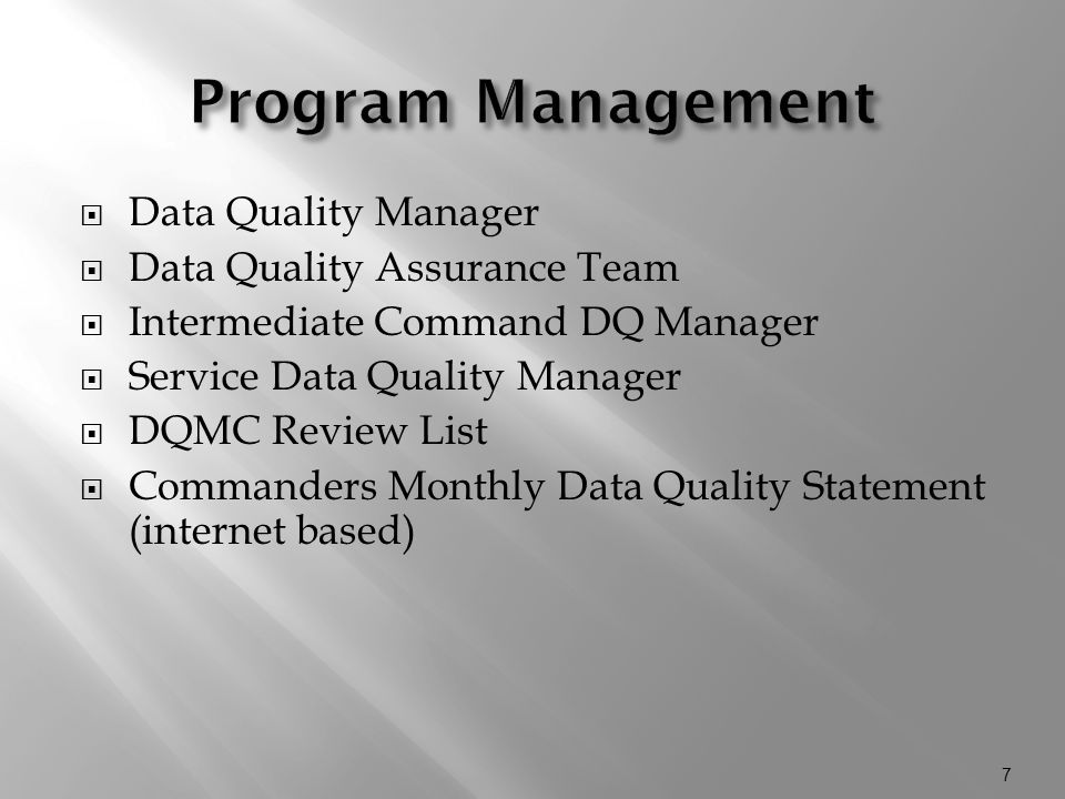 Program Management Data Quality Manager Data Quality Assurance Team