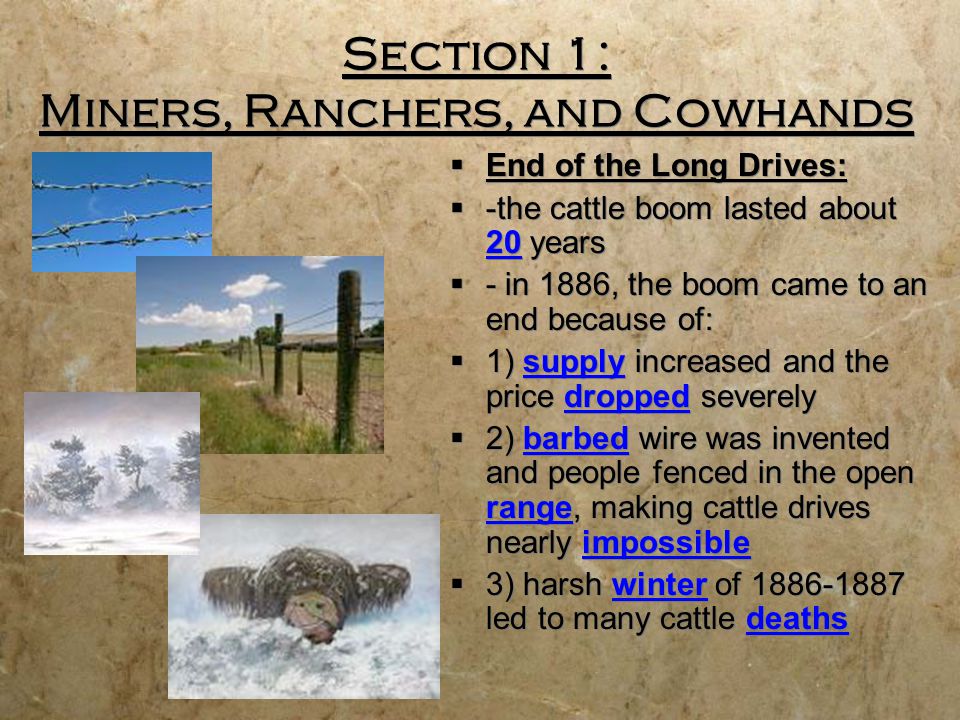 Section 1: Miners, Ranchers, and Cowhands