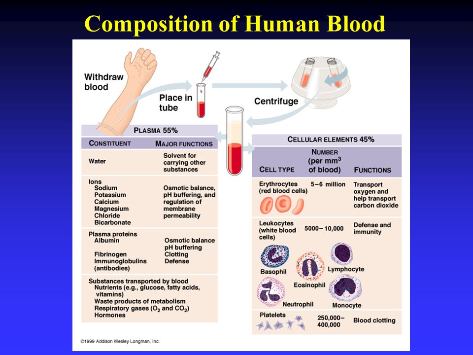 Тест клетки крови. Human Blood Cells. Clotting анализ крови.