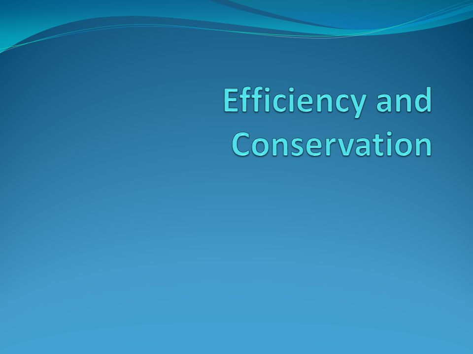 Efficiency and Conservation