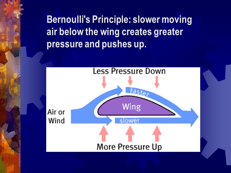 Bernoulli s Principle: slower moving air below the wing creates greater pressure and pushes up.