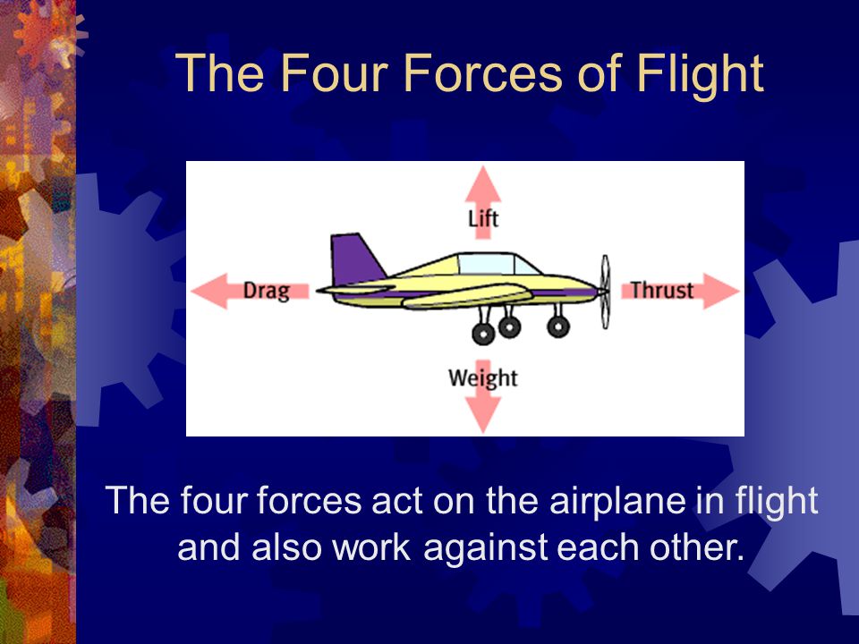 The Four Forces of Flight