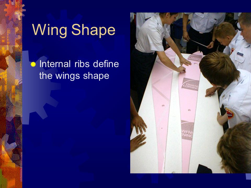 Wing Shape Internal ribs define the wings shape