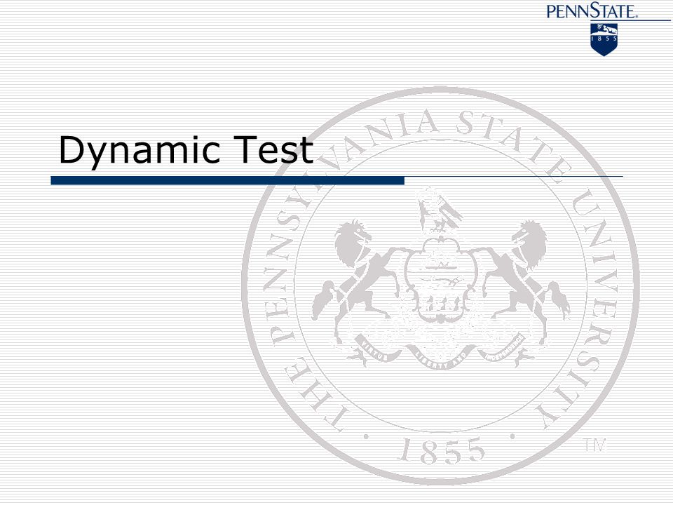 Dynamic Test