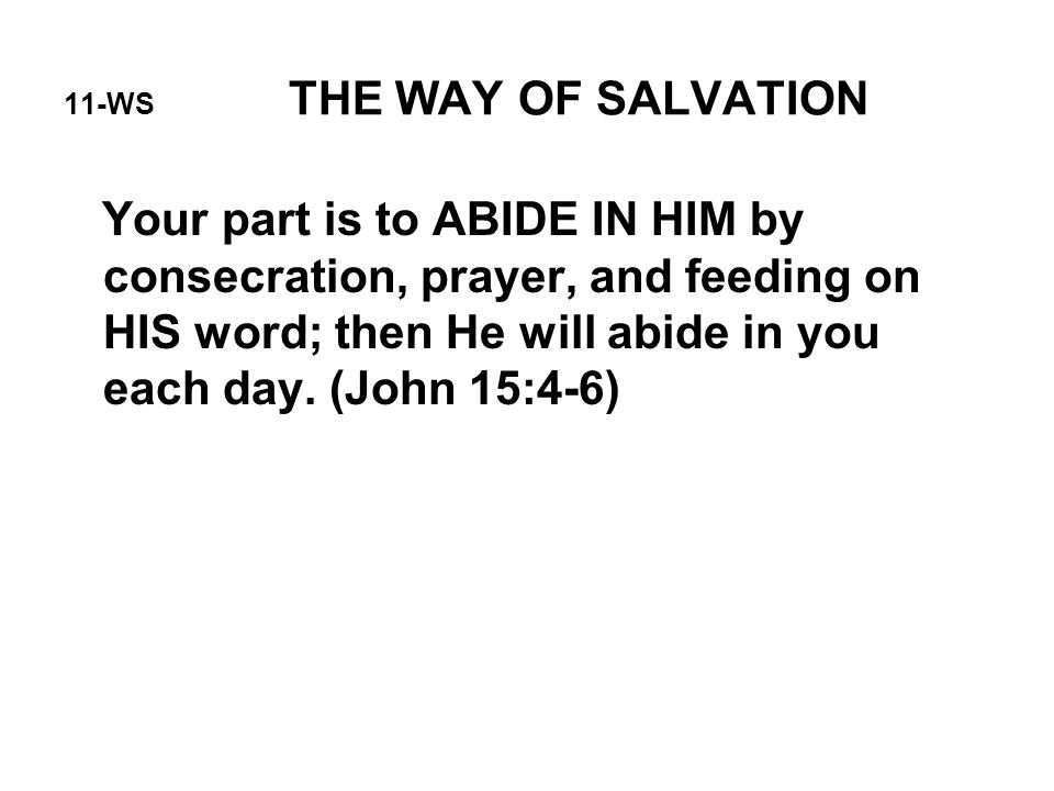 11-WS THE WAY OF SALVATION