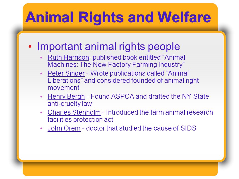 Animal Rights and Welfare - ppt video online download