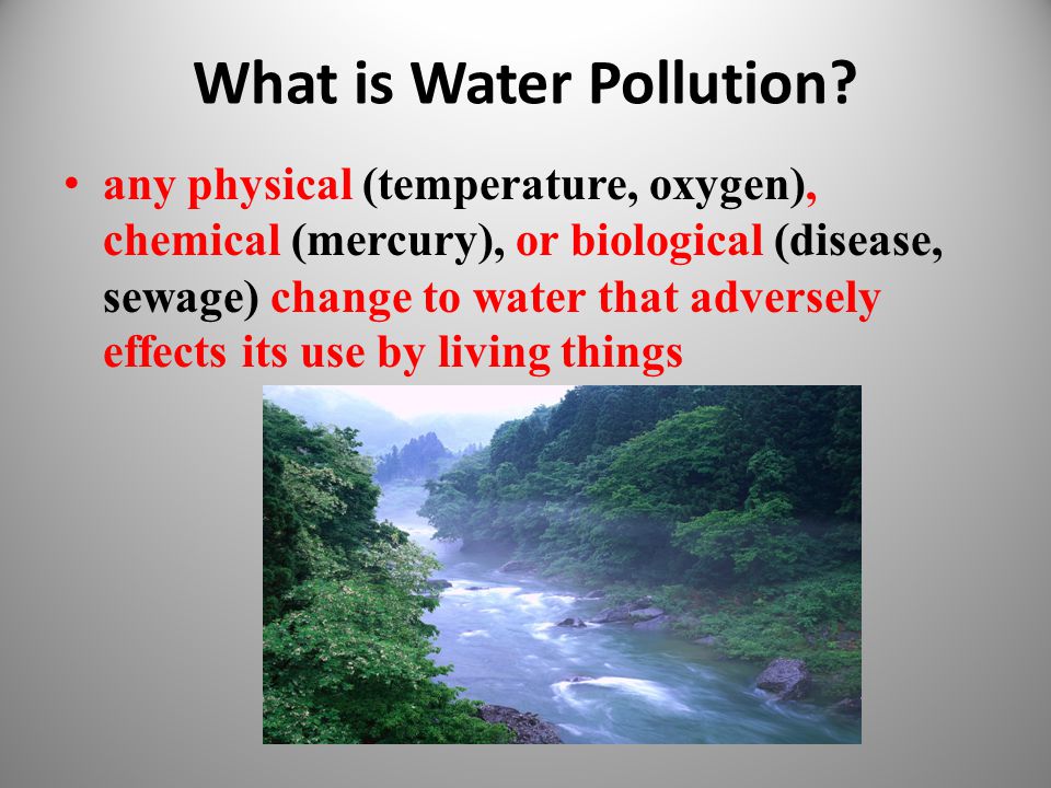 What is Water Pollution