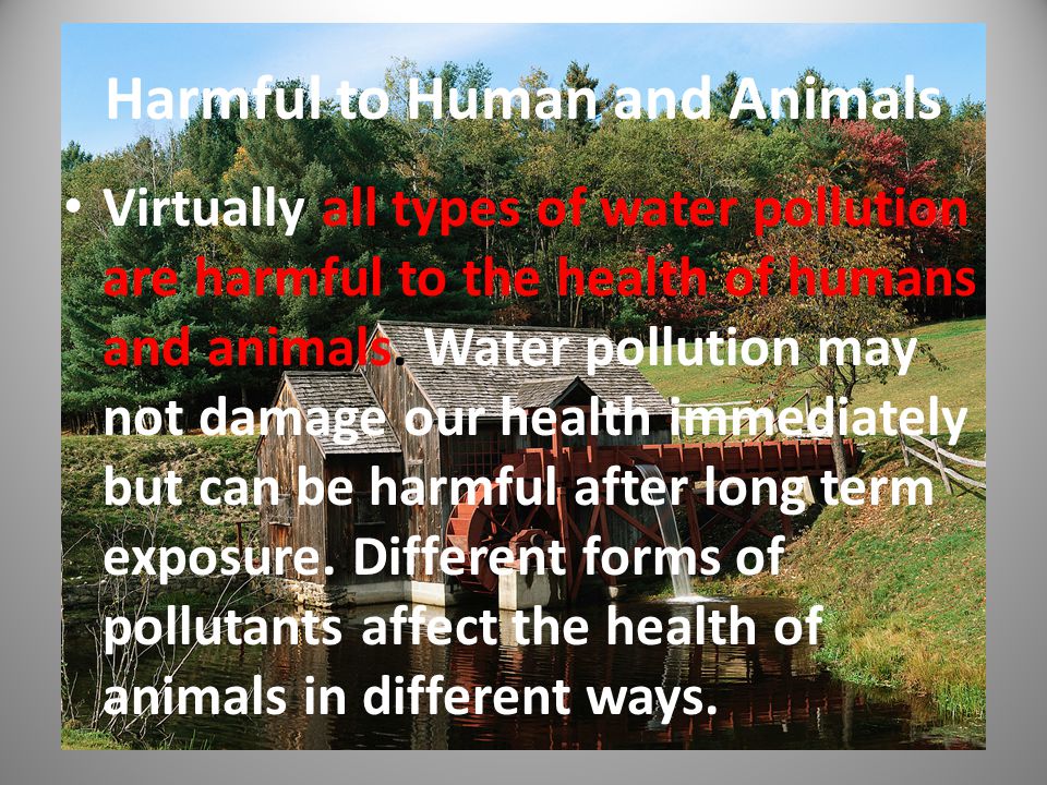 Harmful to Human and Animals