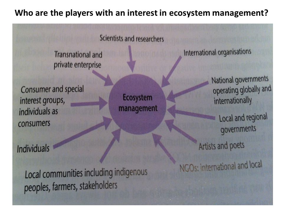 Who are the players with an interest in ecosystem management