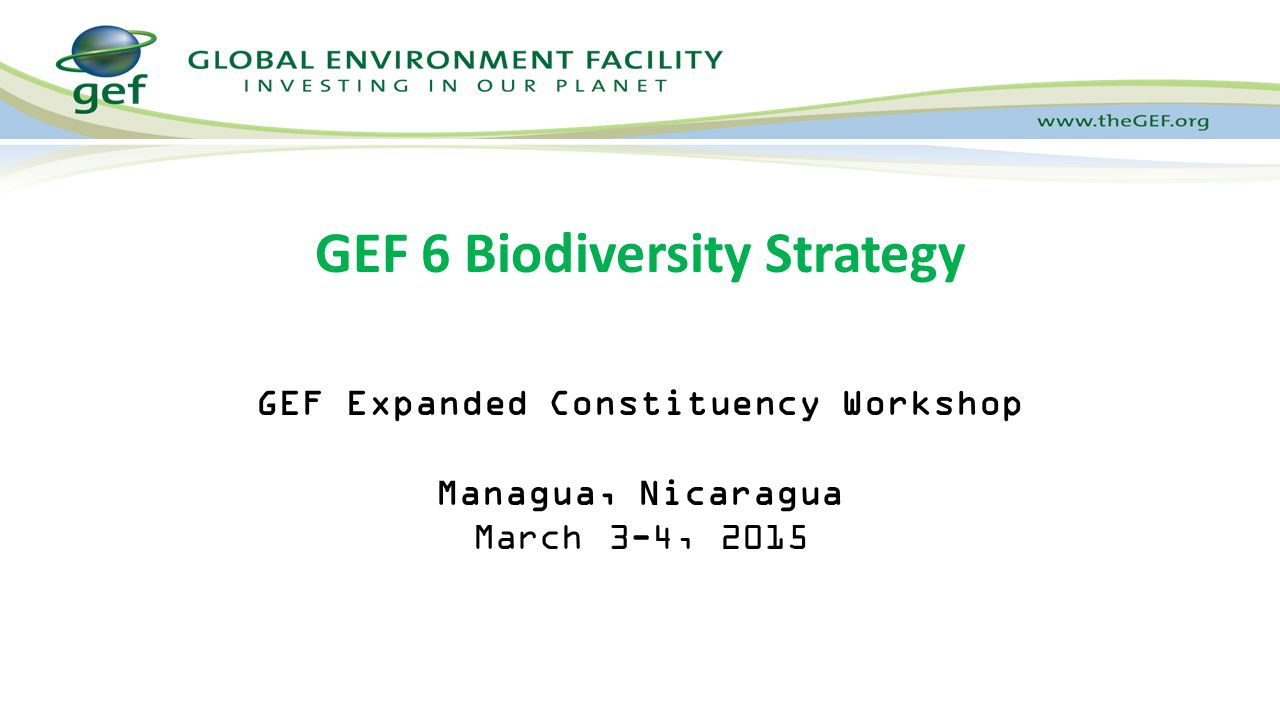GEF 6 Biodiversity Strategy