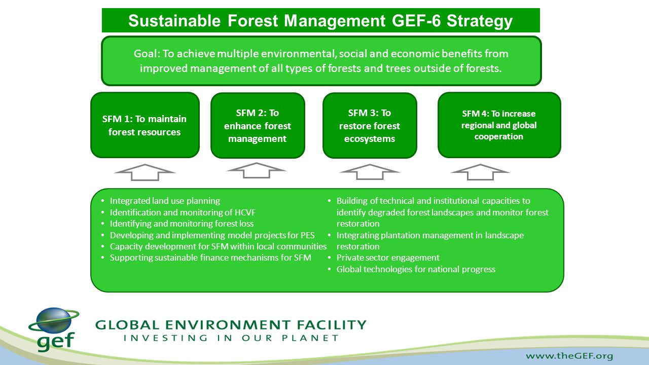 Sustainable Forest Management GEF-6 Strategy