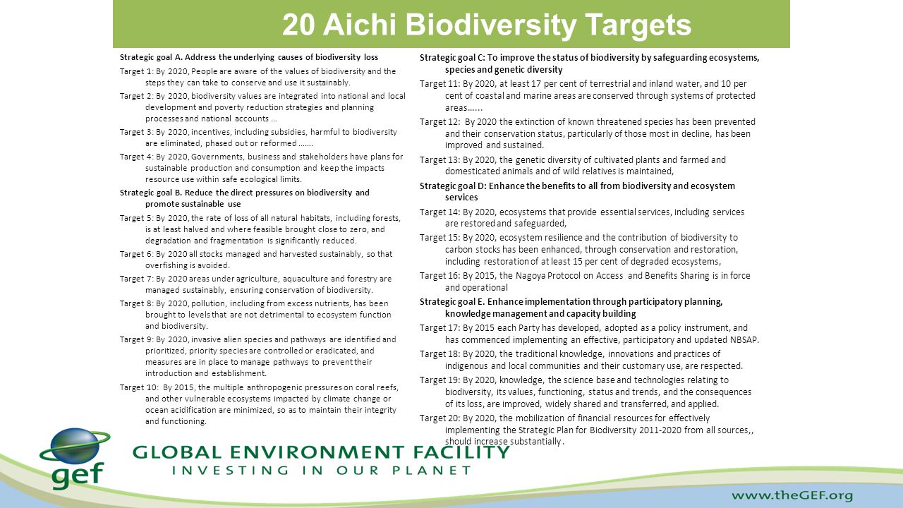 20 Aichi Biodiversity Targets