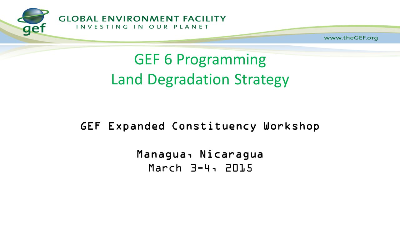 GEF 6 Programming Land Degradation Strategy