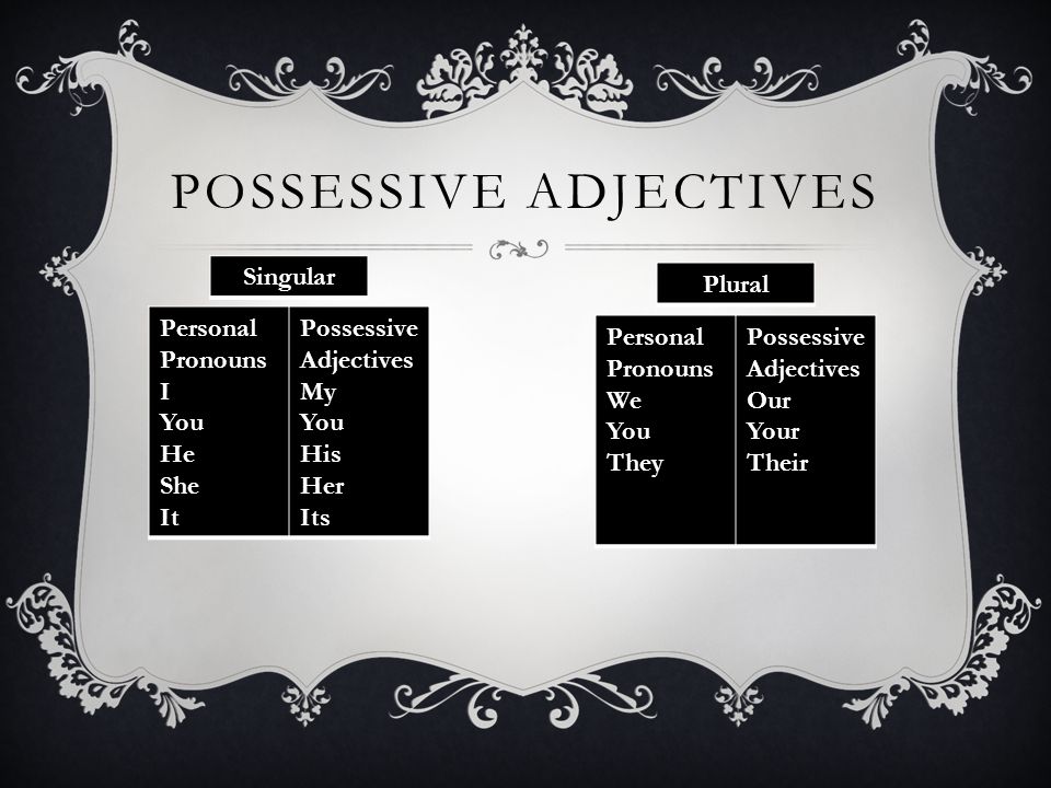 Possessive adjectives