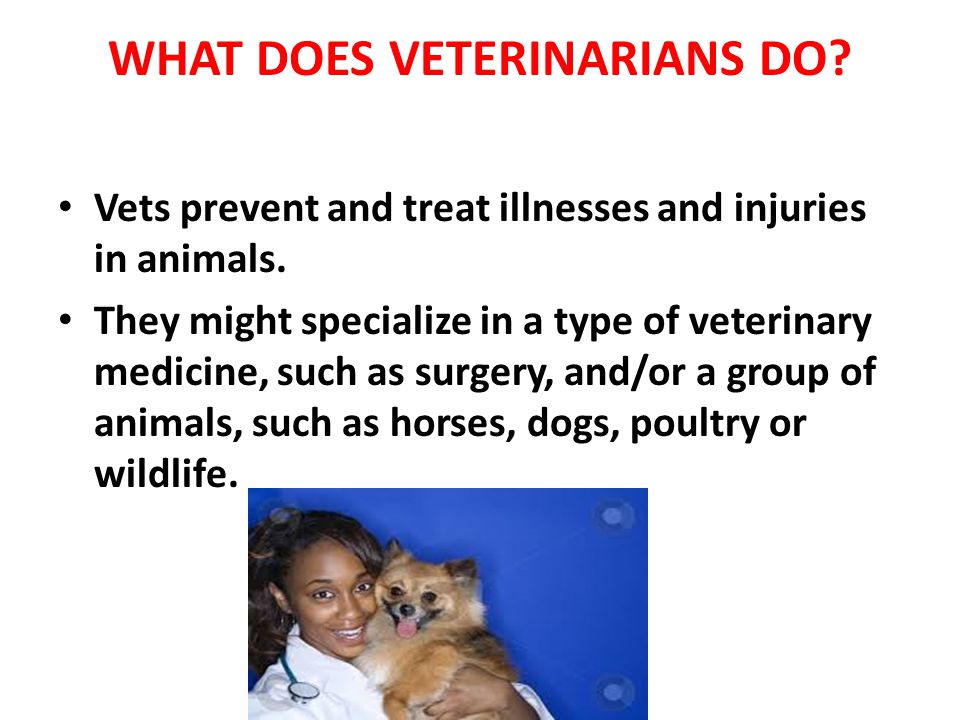 WHAT DOES VETERINARIANS DO