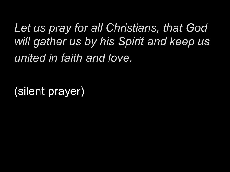 Let us pray for all Christians, that God will gather us by his Spirit and keep us