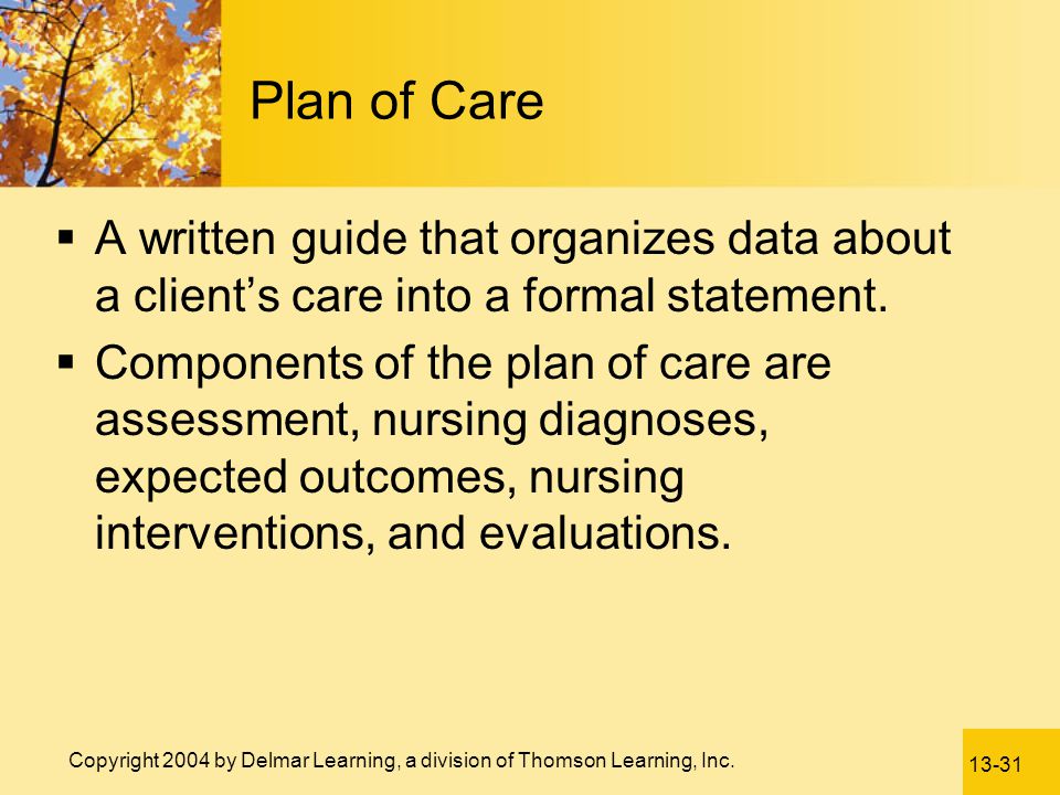 Plan of Care A written guide that organizes data about a client’s care into a formal statement.